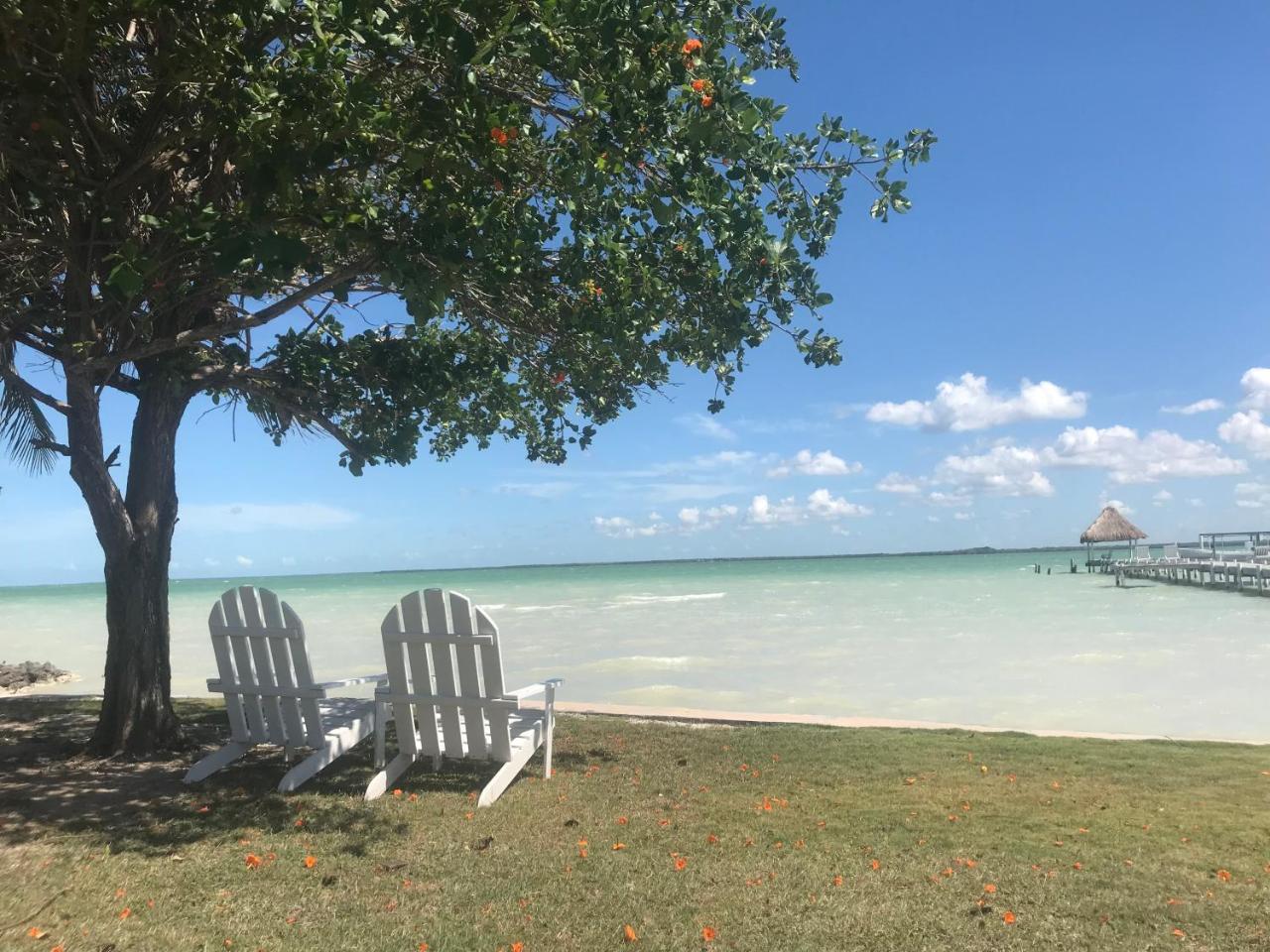 Tilt-Ta-Dock Resort Belize Corozal Exteriör bild