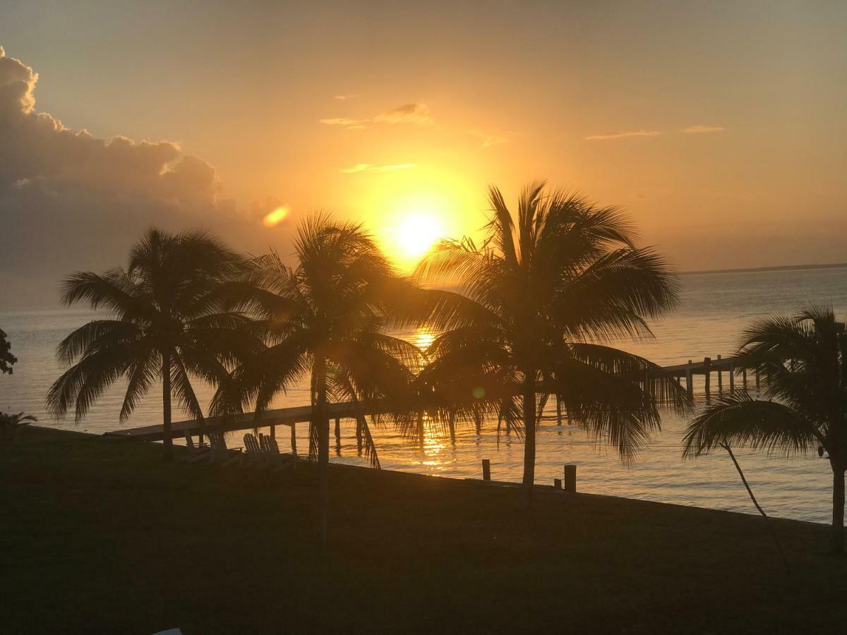 Tilt-Ta-Dock Resort Belize Corozal Exteriör bild