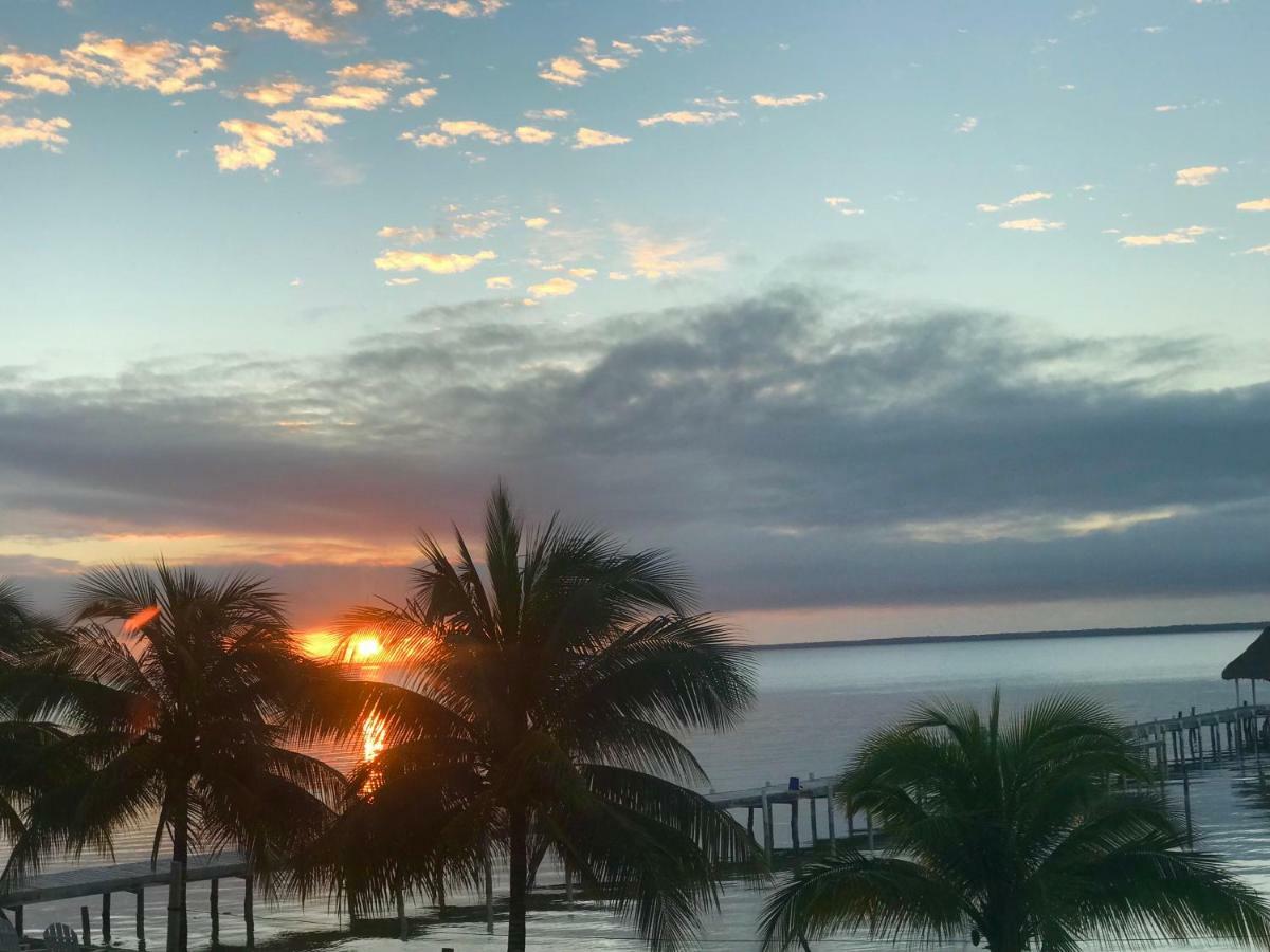 Tilt-Ta-Dock Resort Belize Corozal Exteriör bild
